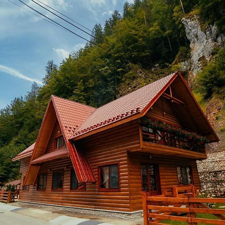 Casa Cheile Dambovicioarei - Cabana 2 Дымбовичоара Экстерьер фото