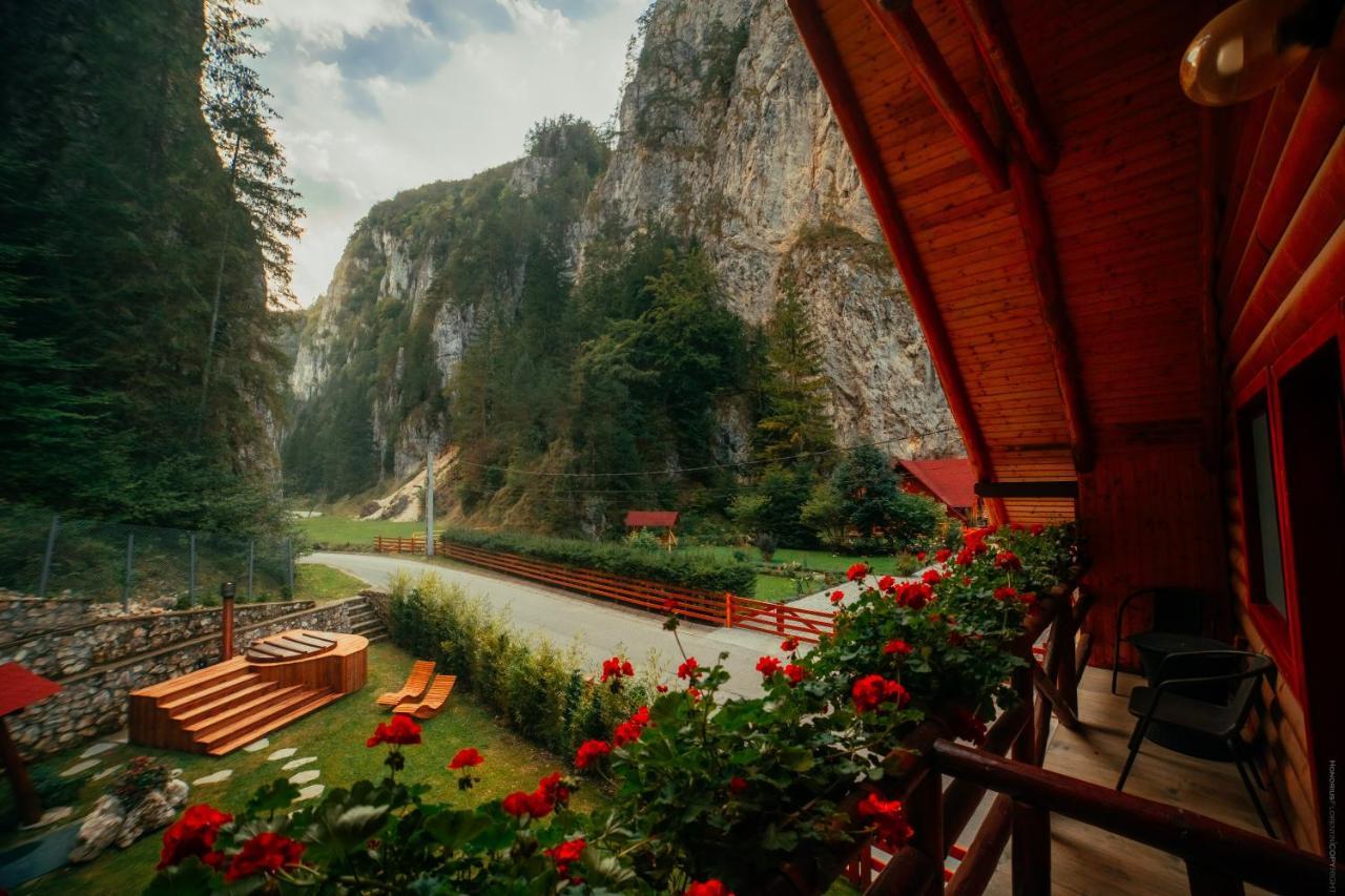 Casa Cheile Dambovicioarei - Cabana 2 Дымбовичоара Экстерьер фото