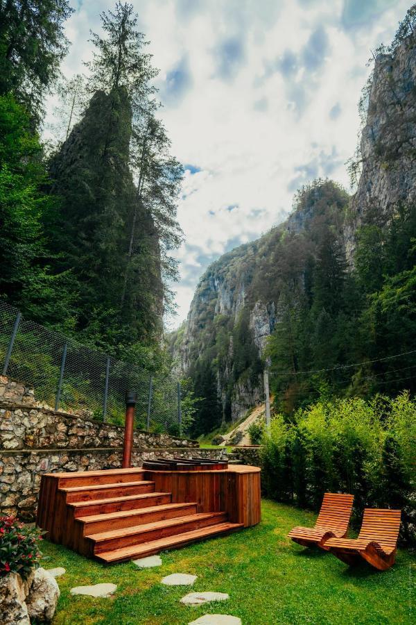 Casa Cheile Dambovicioarei - Cabana 2 Дымбовичоара Экстерьер фото